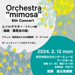 Orchestra ”mimosa” 6th Concert